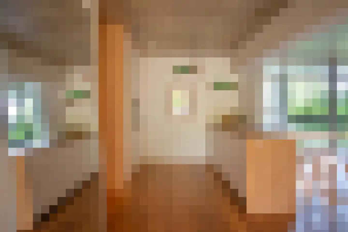 Groenhoven 812 Amsterdam thumbnail 7