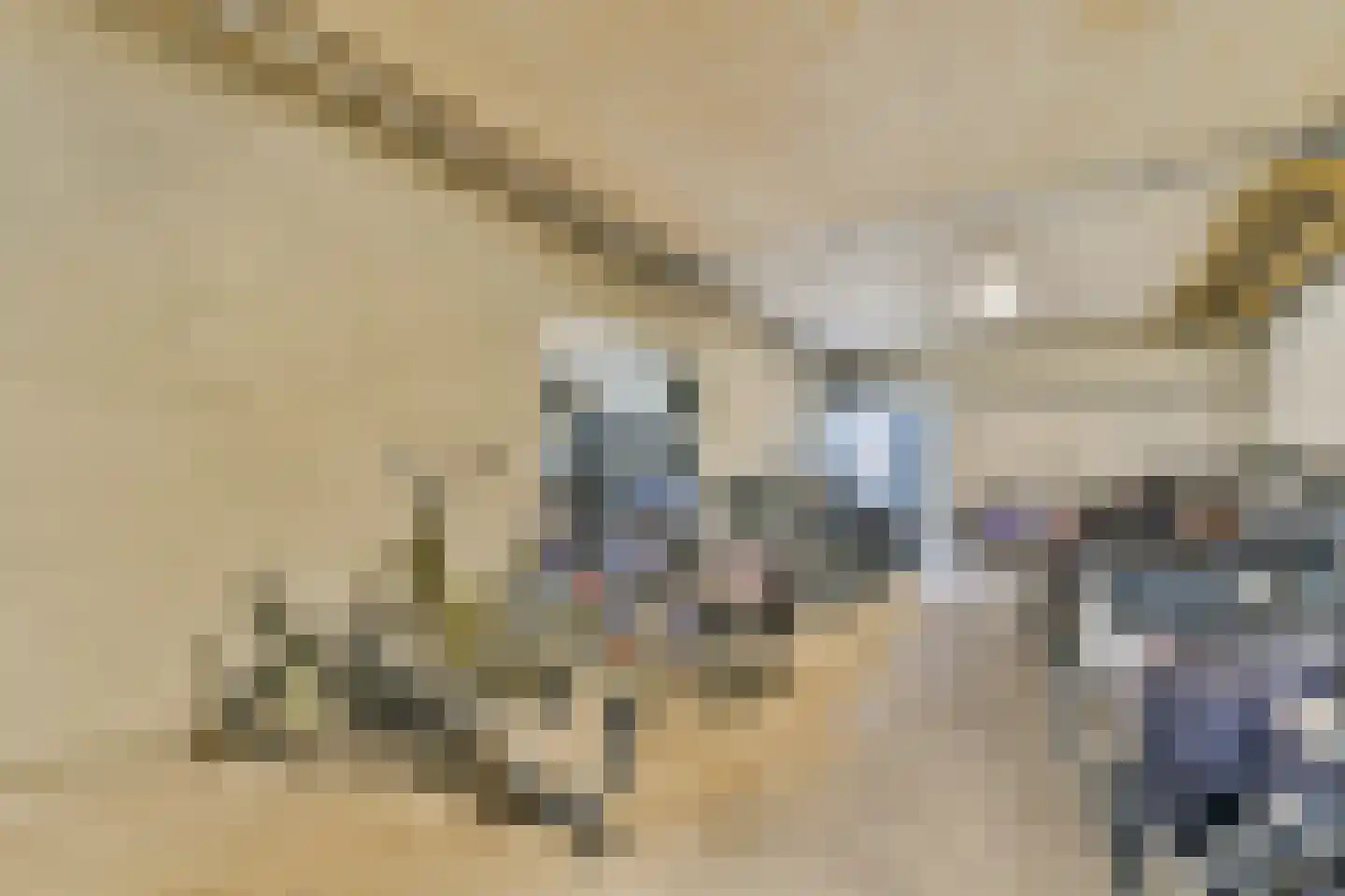 Groenhoven 813 Amsterdam thumbnail 15