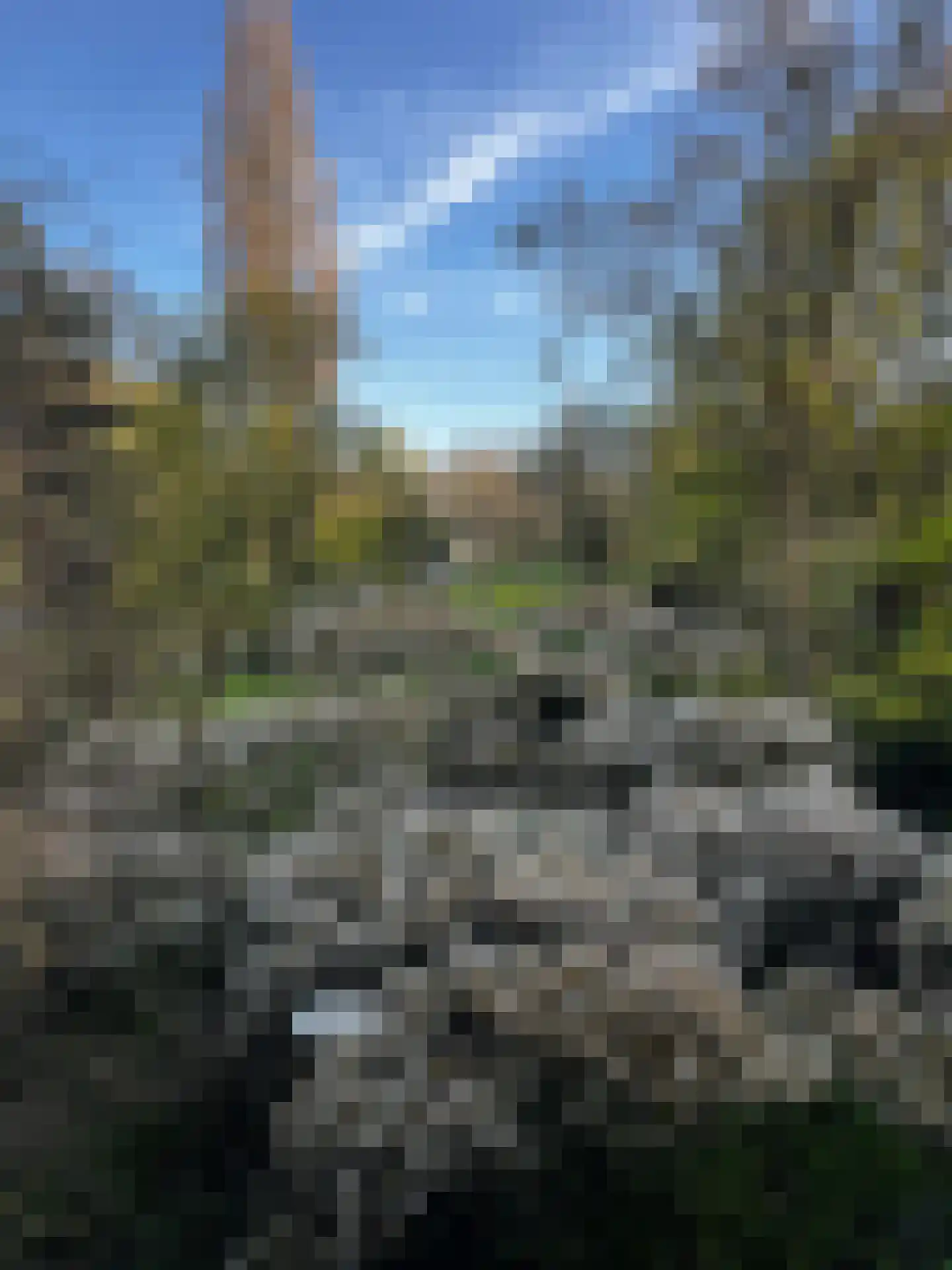Groenhoven 813 Amsterdam thumbnail 21