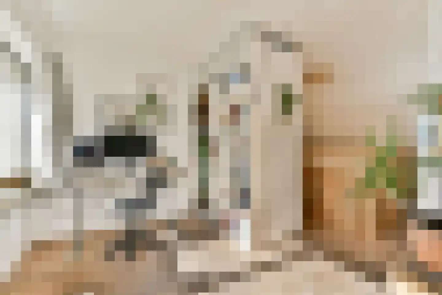 Groenhoven 813 Amsterdam thumbnail 8