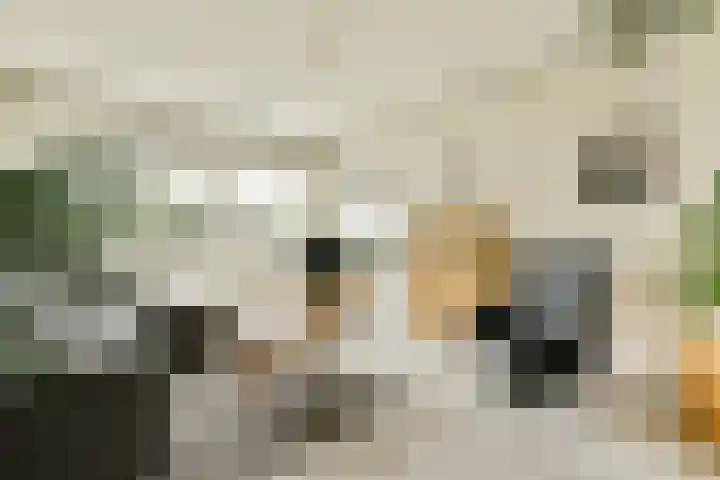 Groenhoven 819 Amsterdam thumbnail 10