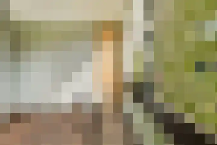 Groenhoven 819 Amsterdam thumbnail 12