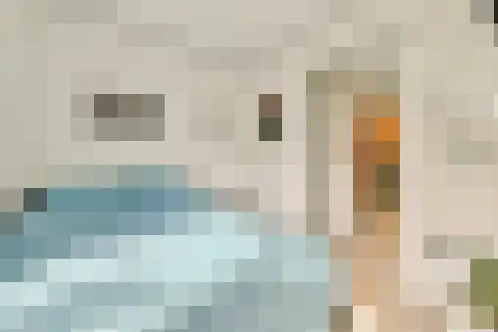 Groenhoven 819 Amsterdam thumbnail 14