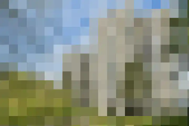 Groenhoven 819 Amsterdam thumbnail 18