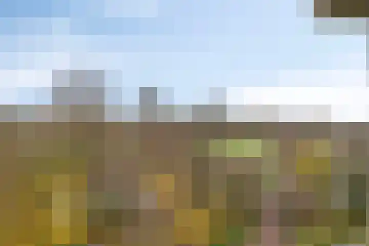 Groenhoven 834 Amsterdam thumbnail 37