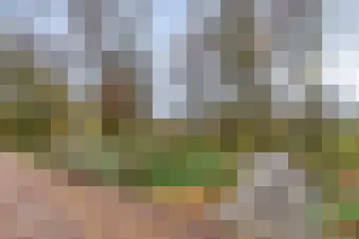 Groenhoven 834 Amsterdam thumbnail 38