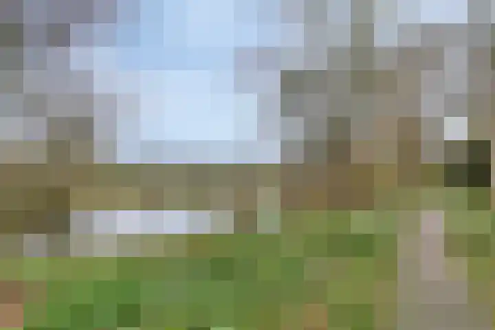 Groenhoven 834 Amsterdam thumbnail 39