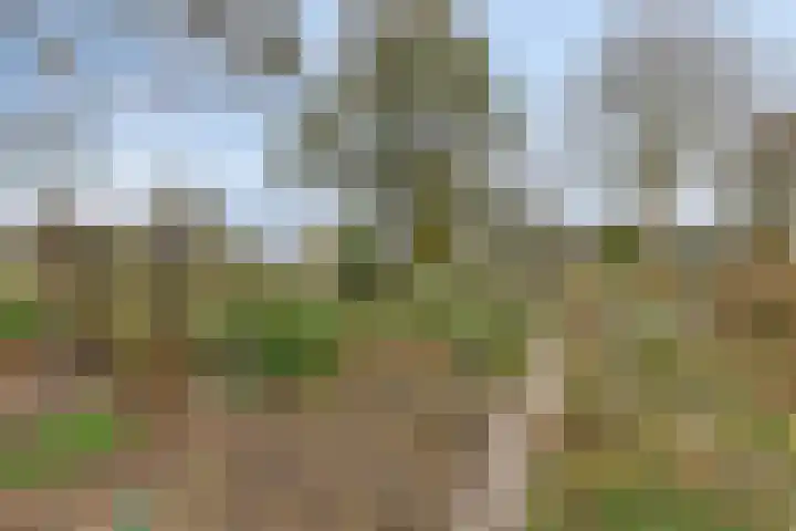Groenhoven 834 Amsterdam thumbnail 40
