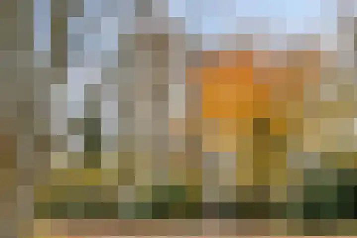 Groenhoven 834 Amsterdam thumbnail 5