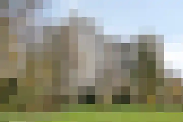 Groenhoven 834 Amsterdam thumbnail 7