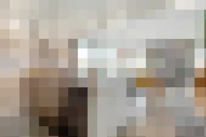 Groenhoven 840 Amsterdam thumbnail 15