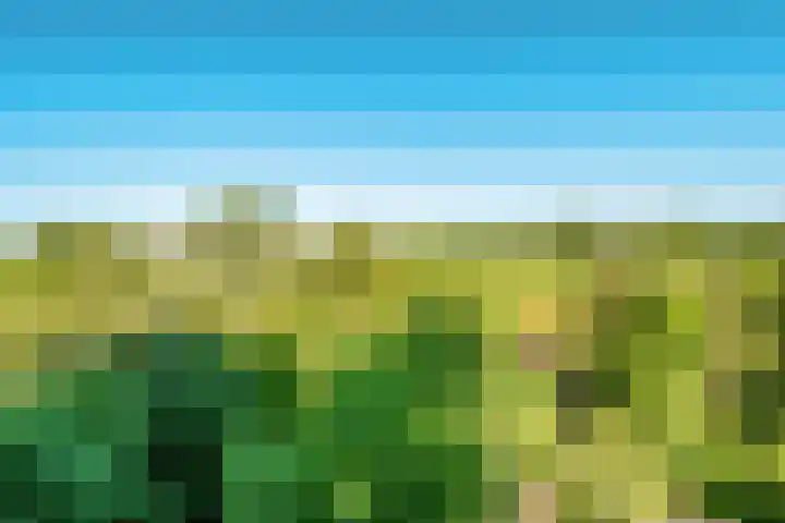 Groenhoven 840 Amsterdam thumbnail 20