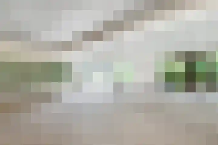 Groenhoven 840 Amsterdam thumbnail 22