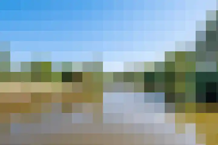Groenhoven 840 Amsterdam thumbnail 24