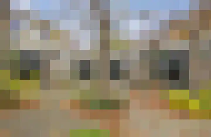 Groenhoven 861 Amsterdam thumbnail 26
