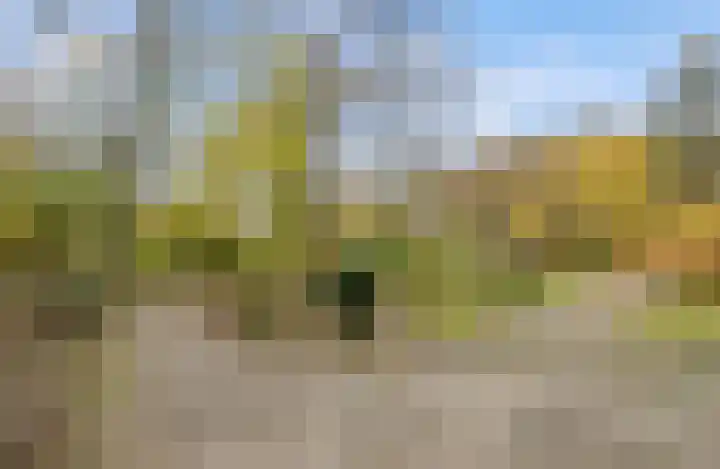 Groenhoven 861 Amsterdam thumbnail 29