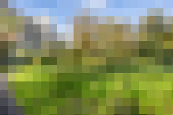 Groenhoven 861 Amsterdam thumbnail 33