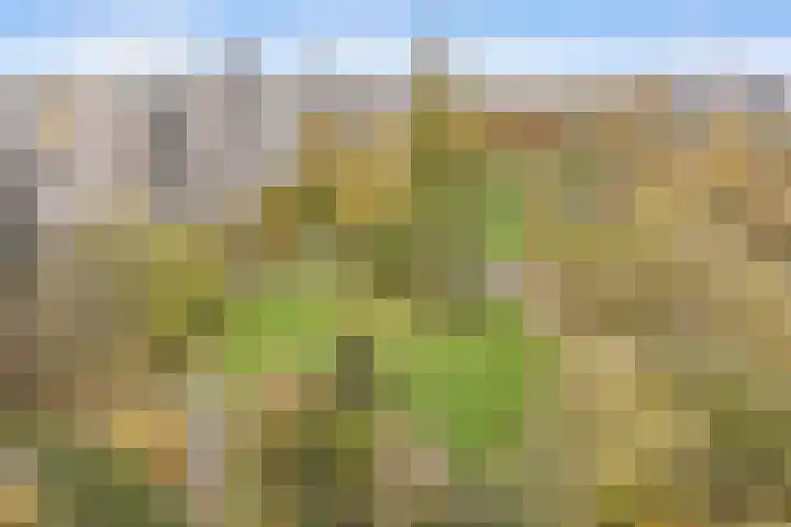 Groenhoven 861 Amsterdam thumbnail 7