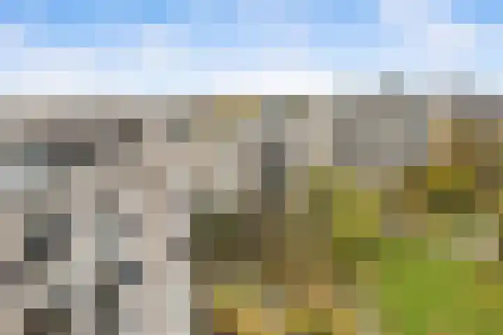 Groenhoven 861 Amsterdam thumbnail 8