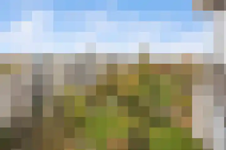 Groenhoven 861 Amsterdam thumbnail 9
