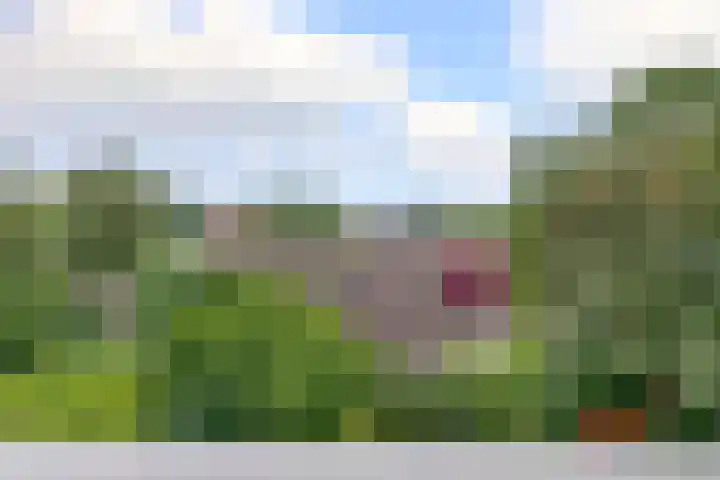 Groenhovenweg 145 Gouda thumbnail 13