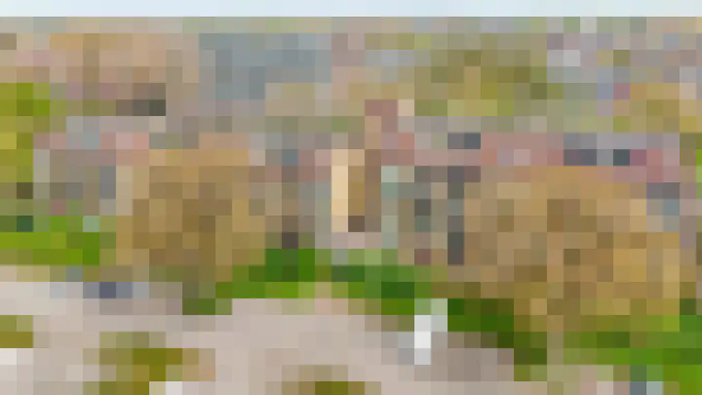 Groenhovenweg 17 Gouda thumbnail 24
