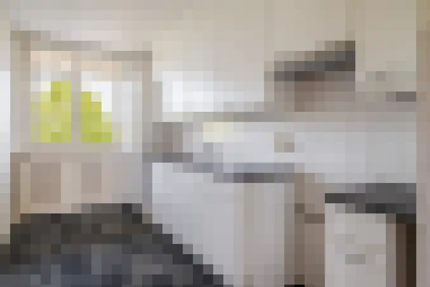 Groenhovenweg 227 Gouda thumbnail 18