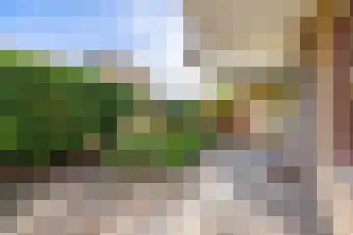 Groenhovenweg 299 Gouda thumbnail 8