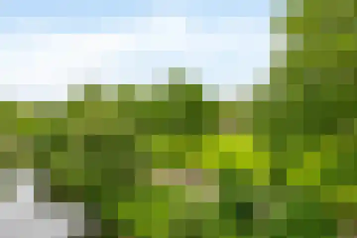 Groenhovenweg 335 Gouda thumbnail 10