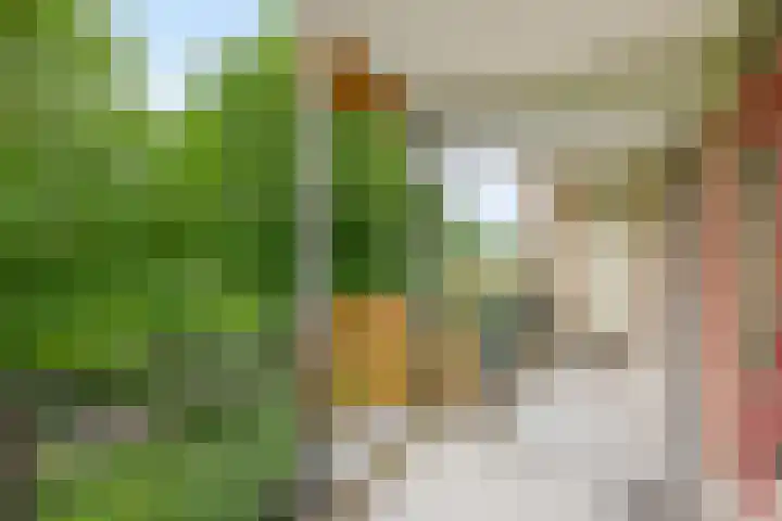 Groenhovenweg 335 Gouda thumbnail 9