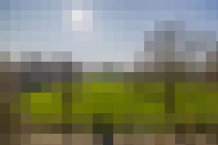 Groenhovenweg 351 Gouda thumbnail 19