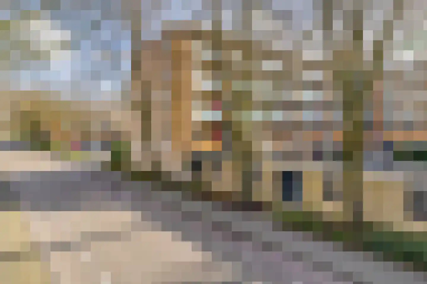 Groenhovenweg 359 Gouda thumbnail 25