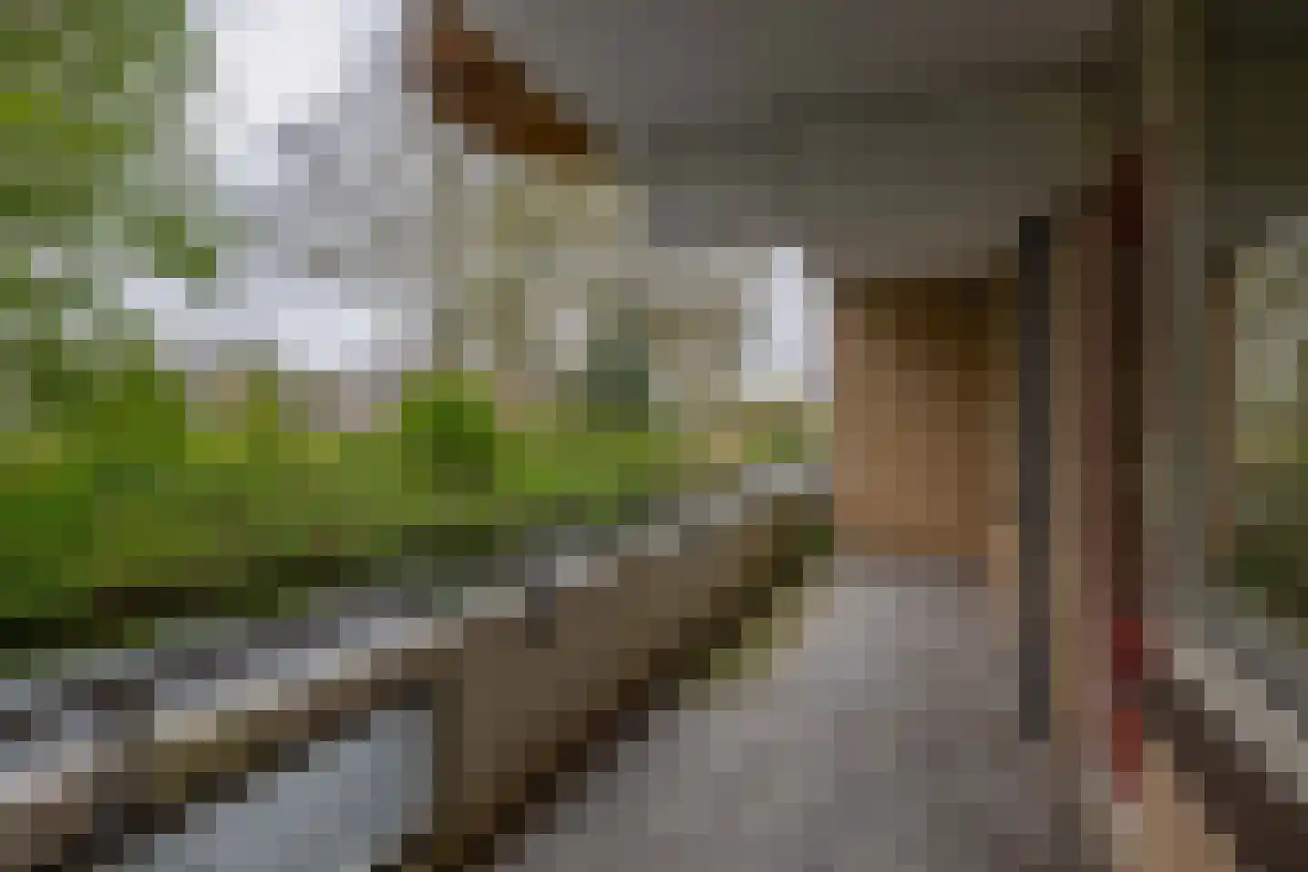 Groenhovenweg 379 Gouda thumbnail 8