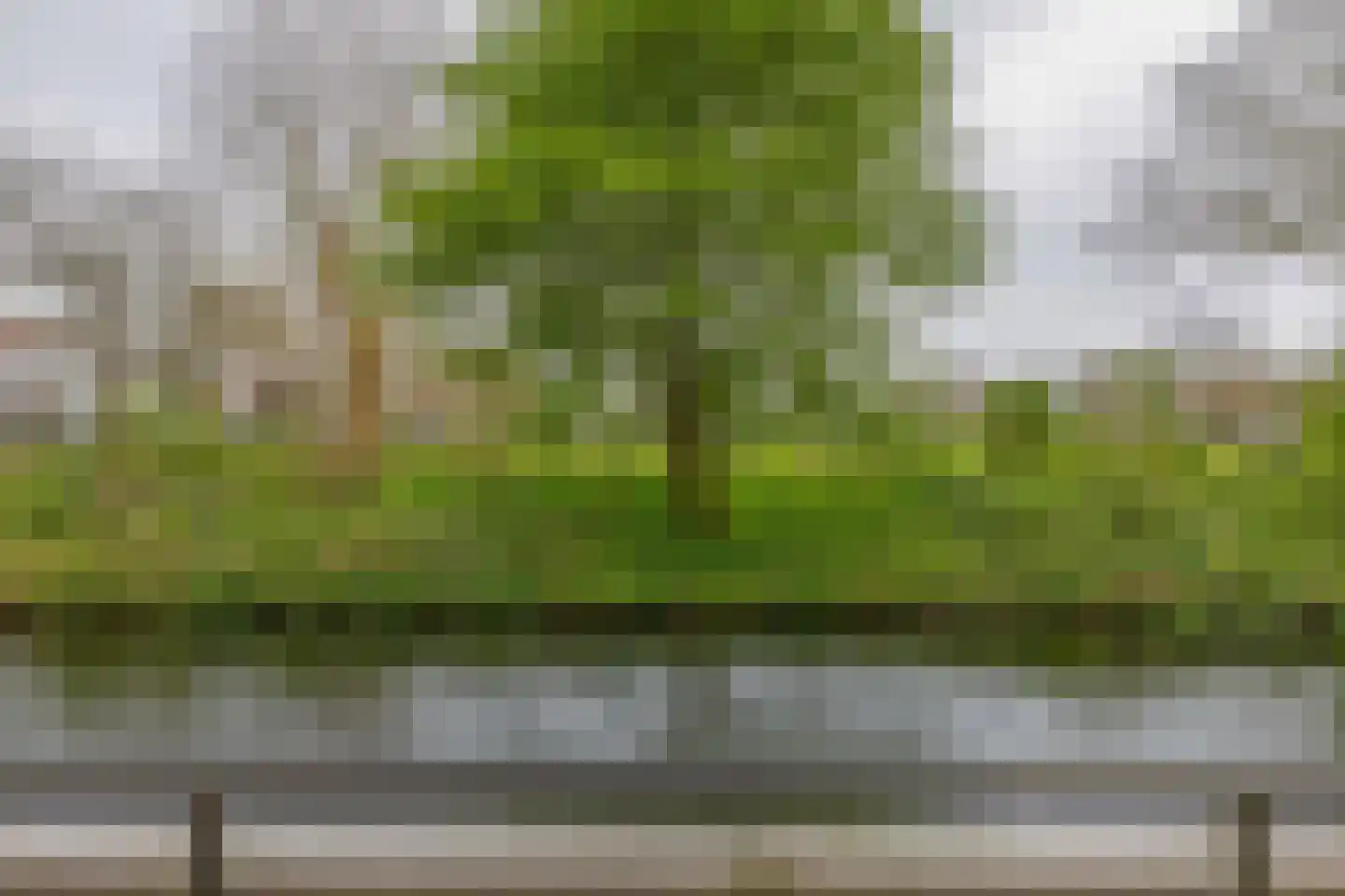 Groenhovenweg 379 Gouda thumbnail 9