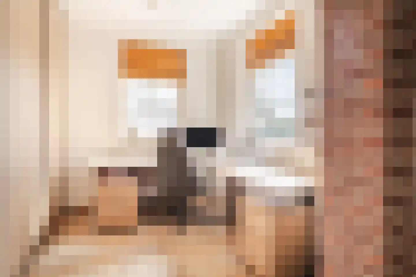 Groeningsestraat 58 Groeningen thumbnail 17