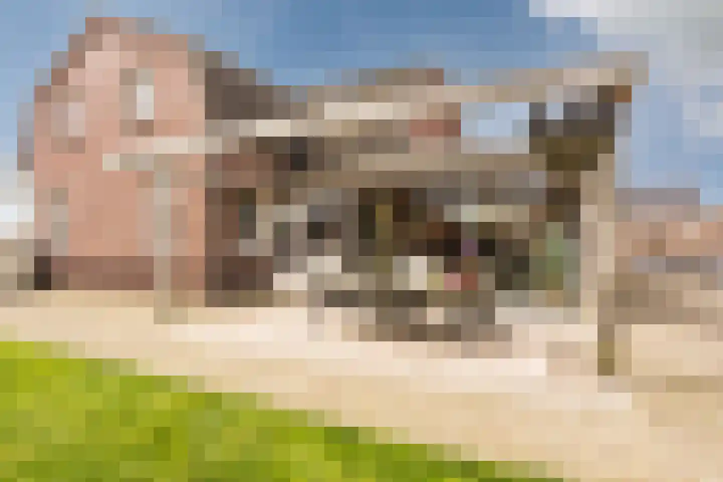 Groeningsestraat 58 Groeningen thumbnail 44