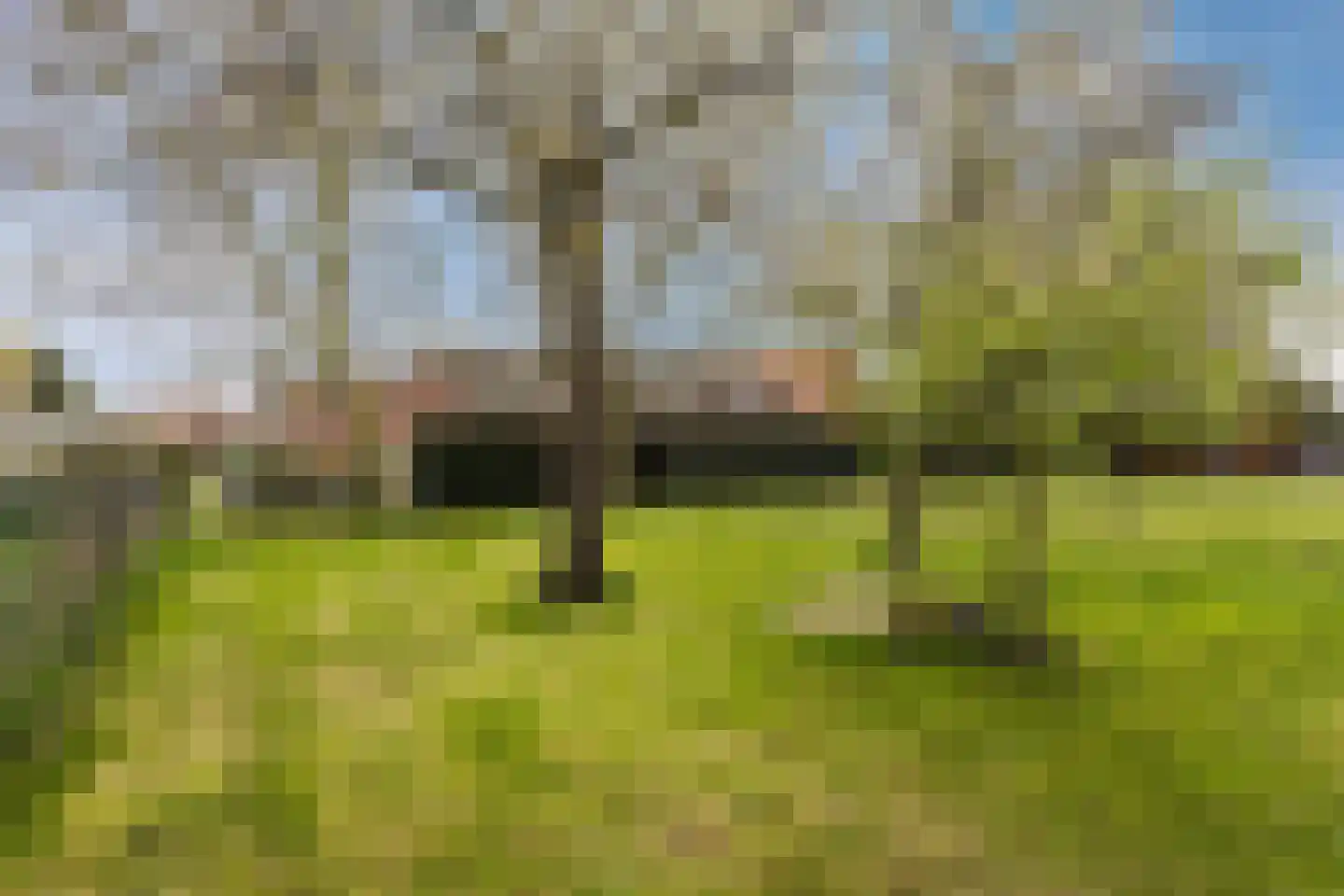 Groeningsestraat 58 Groeningen thumbnail 45