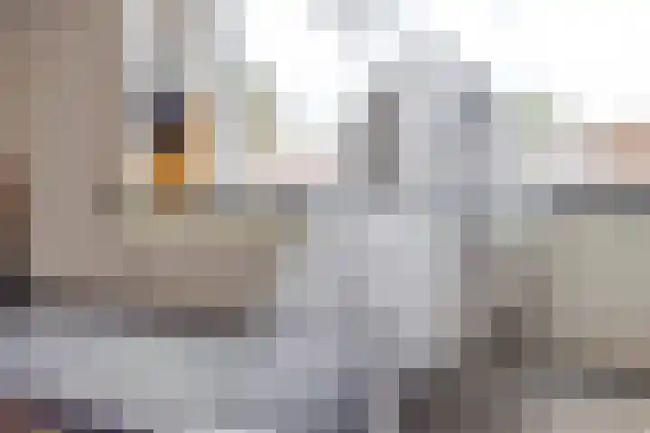 Groeninx van Zoelenstraat 16 Yerseke thumbnail 11