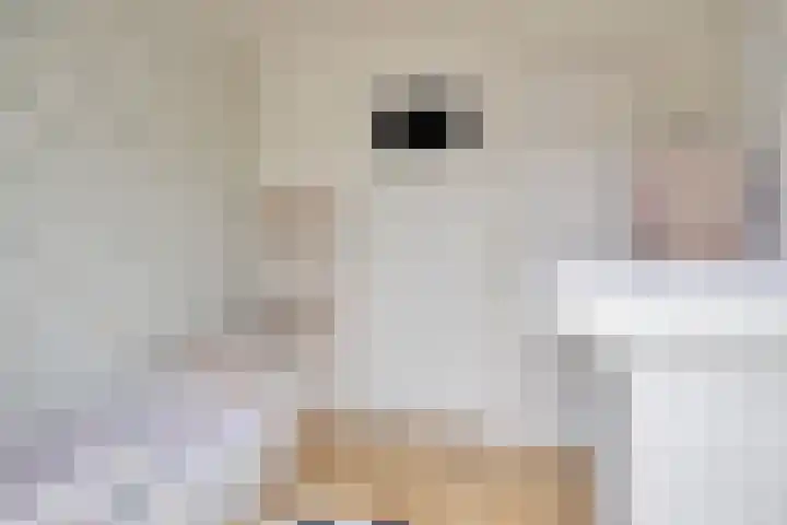 Groeninx van Zoelenstraat 16 Yerseke thumbnail 23