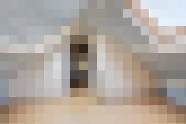 Groeninx van Zoelenstraat 16 Yerseke thumbnail 25