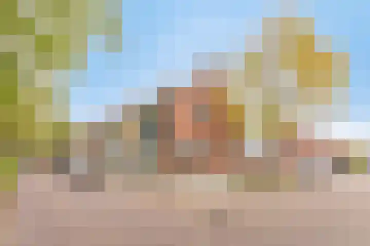 Groeninx van Zoelenstraat 16 Yerseke thumbnail 31