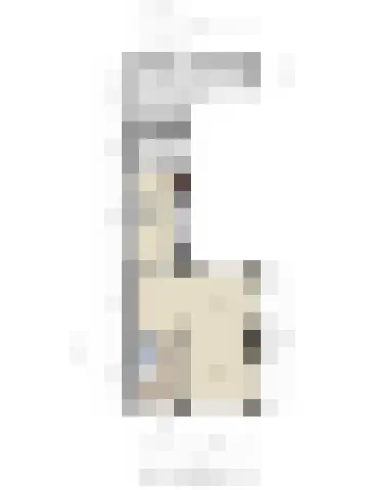 Groeninx van Zoelenstraat 16 Yerseke thumbnail 32