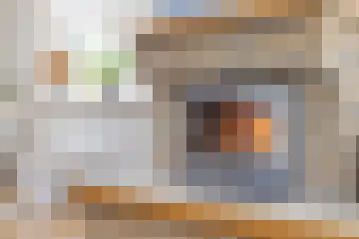 Groeninx van Zoelenstraat 16 Yerseke thumbnail 6