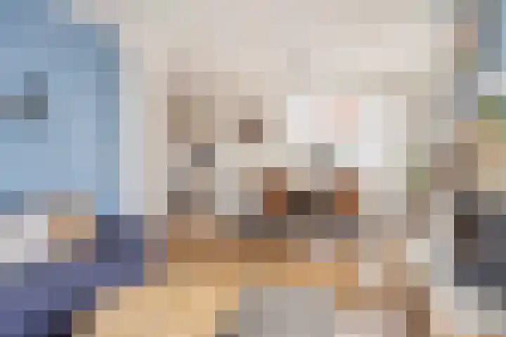 Groeninx van Zoelenstraat 16 Yerseke thumbnail 7