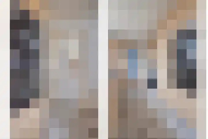 Groeninx van Zoelenstraat 16 Yerseke thumbnail 9