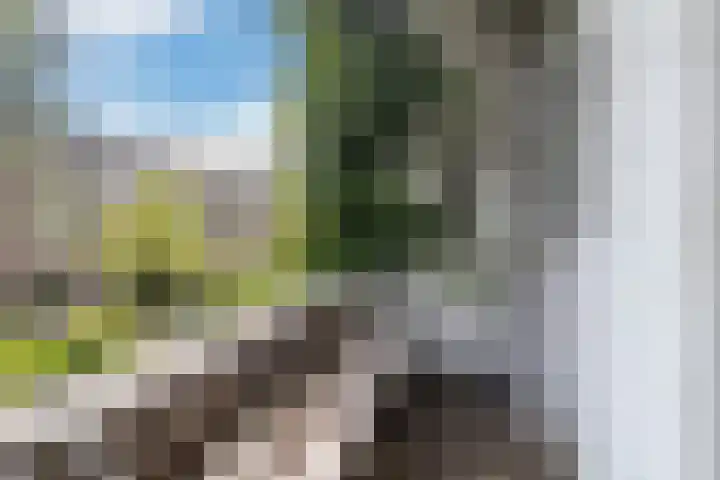 Groeninxstraat 10 B Rotterdam thumbnail 20