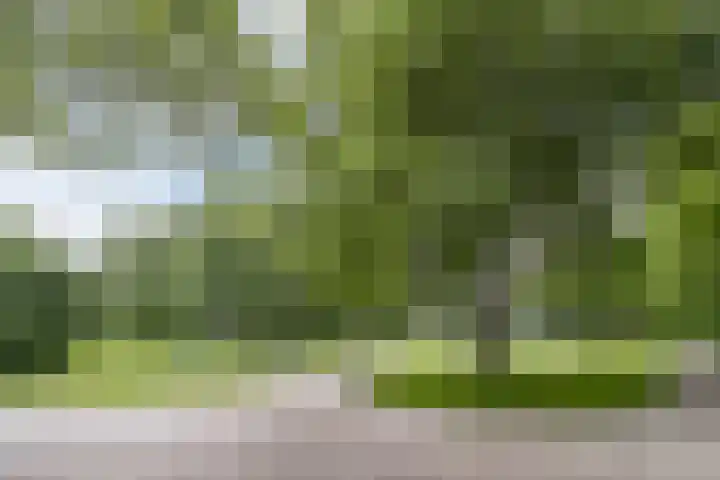 Groeninxstraat 10 B Rotterdam thumbnail 27