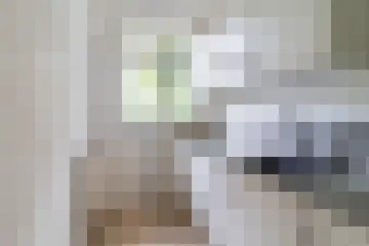 Groeninxstraat 10 B Rotterdam thumbnail 6