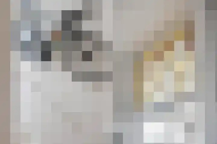 Groeninxstraat 14 B 02 Rotterdam thumbnail 22