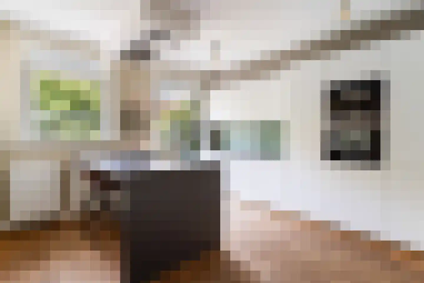 Groeninxstraat 7 A Rotterdam thumbnail 19